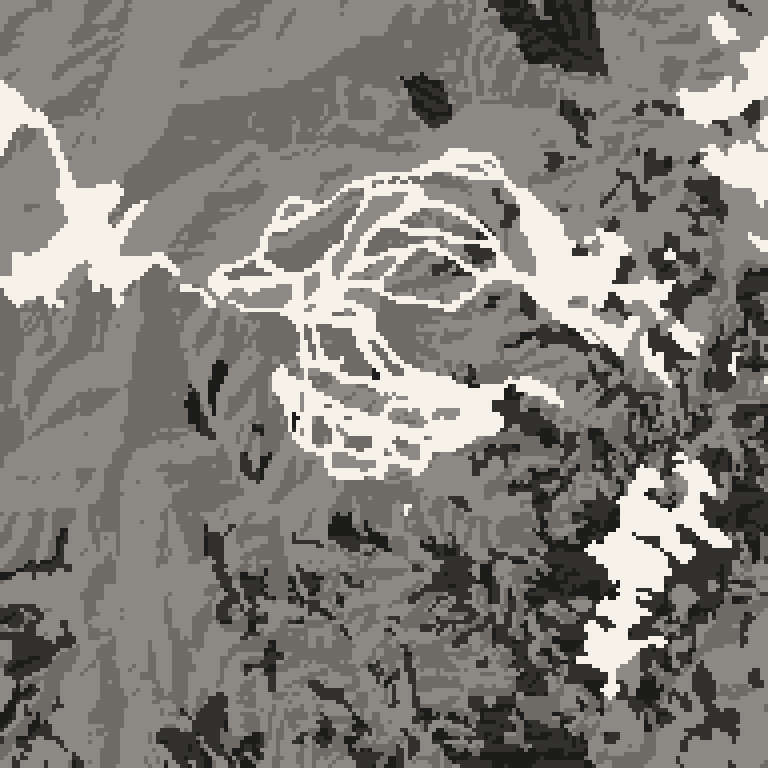 Plan view of the forest around Dynaland. Bare deciduous woods pale, evergreen conifer dark, open ground lightest.