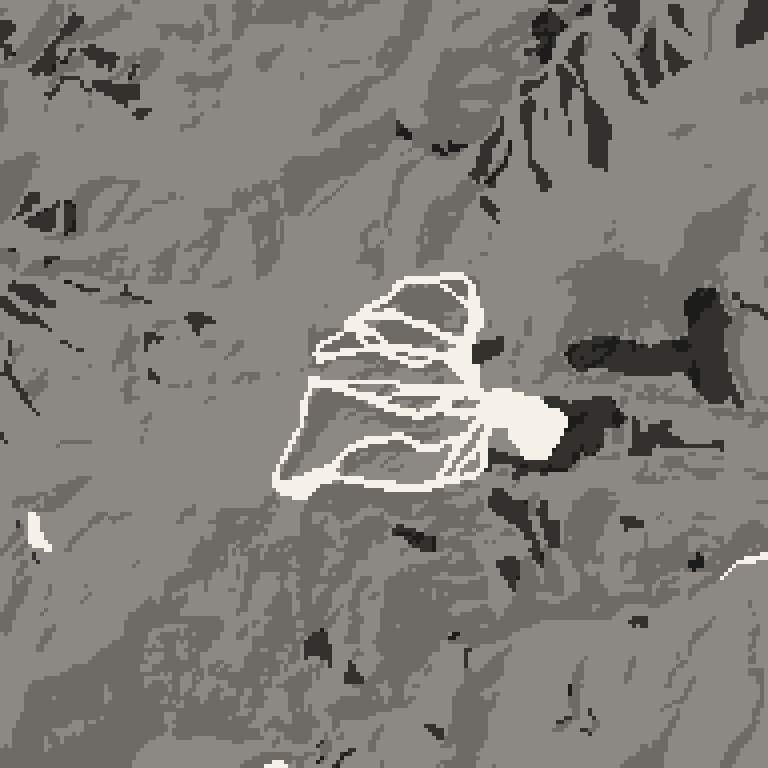 Plan view of the forest around Geto Kogen Ski Resort. Bare deciduous woods pale, evergreen conifer dark, open ground lightest.
