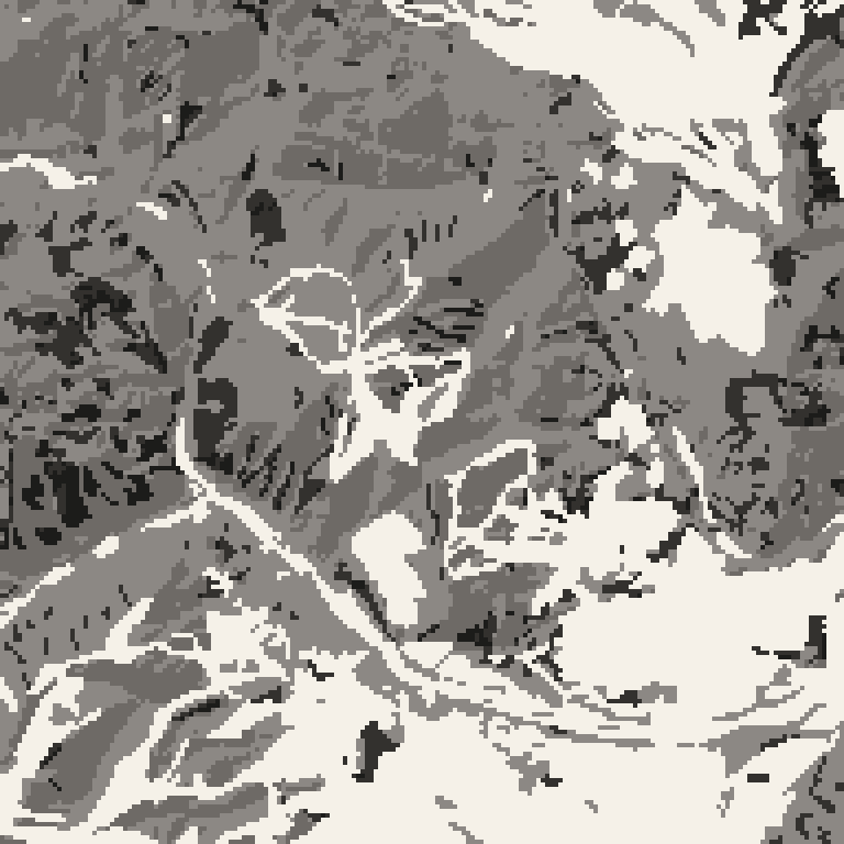 Plan view of the forest around Hakuba Iwatake Snow Field. Bare deciduous woods pale, evergreen conifer dark, open ground lightest.