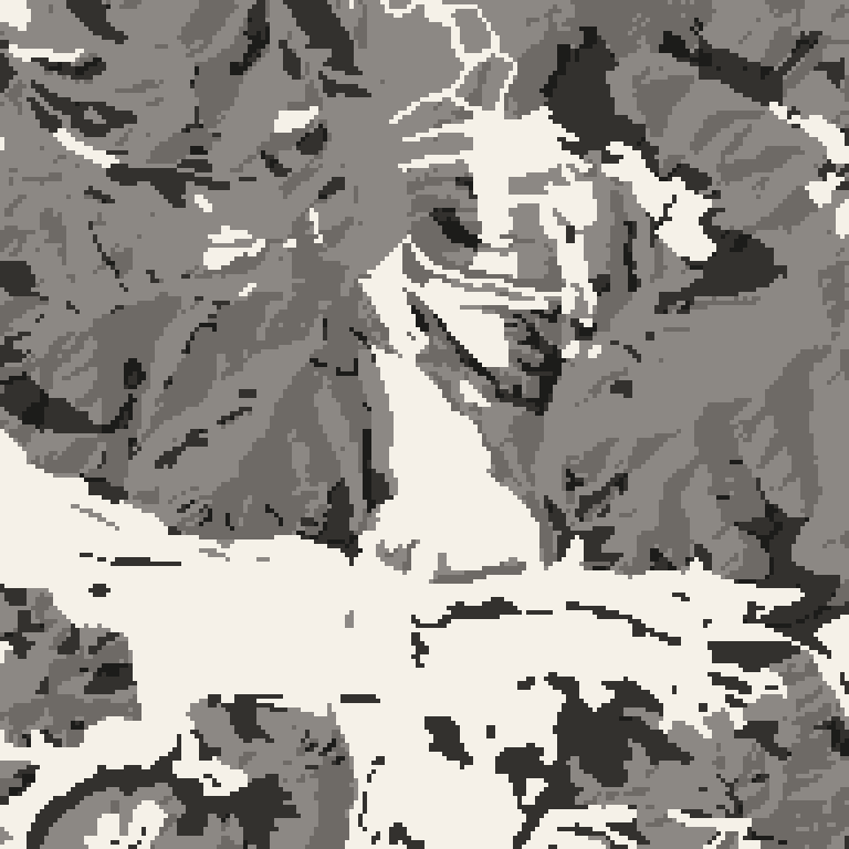 Plan view of the forest around Iwappara. Bare deciduous woods pale, evergreen conifer dark, open ground lightest.