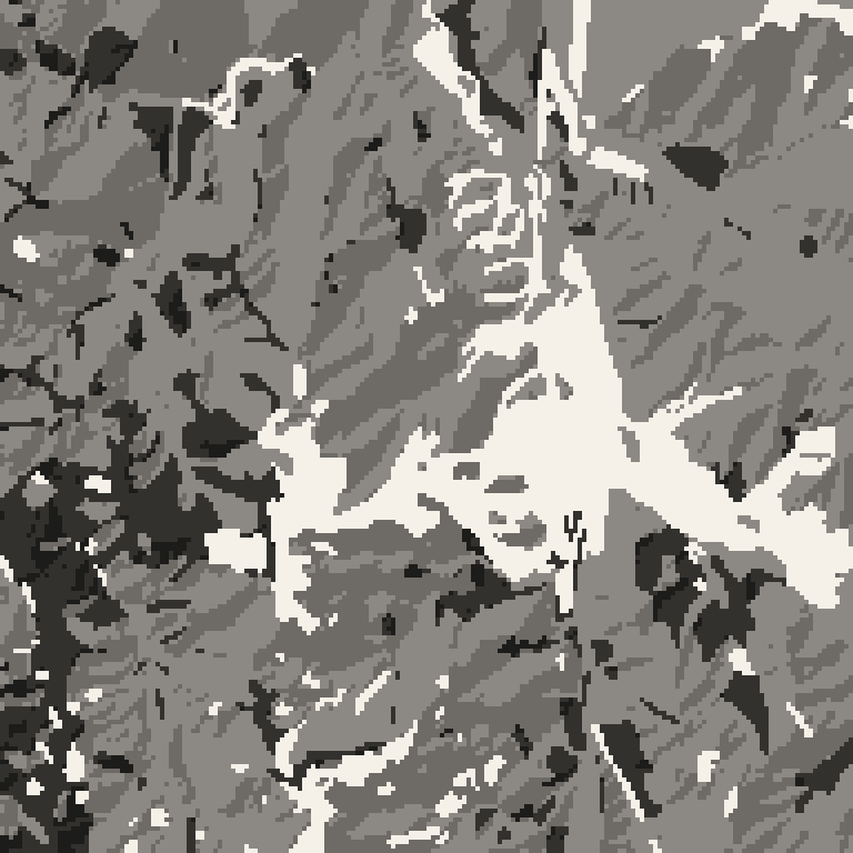 Plan view of the forest around Naeba Ski Resort. Bare deciduous woods pale, evergreen conifer dark, open ground lightest.